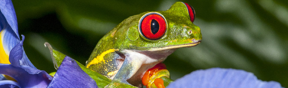 Photo by Pavel Bendov